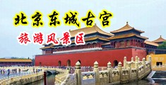 啊啊啊~鸡巴好大好快呀视频在线播放中国北京-东城古宫旅游风景区